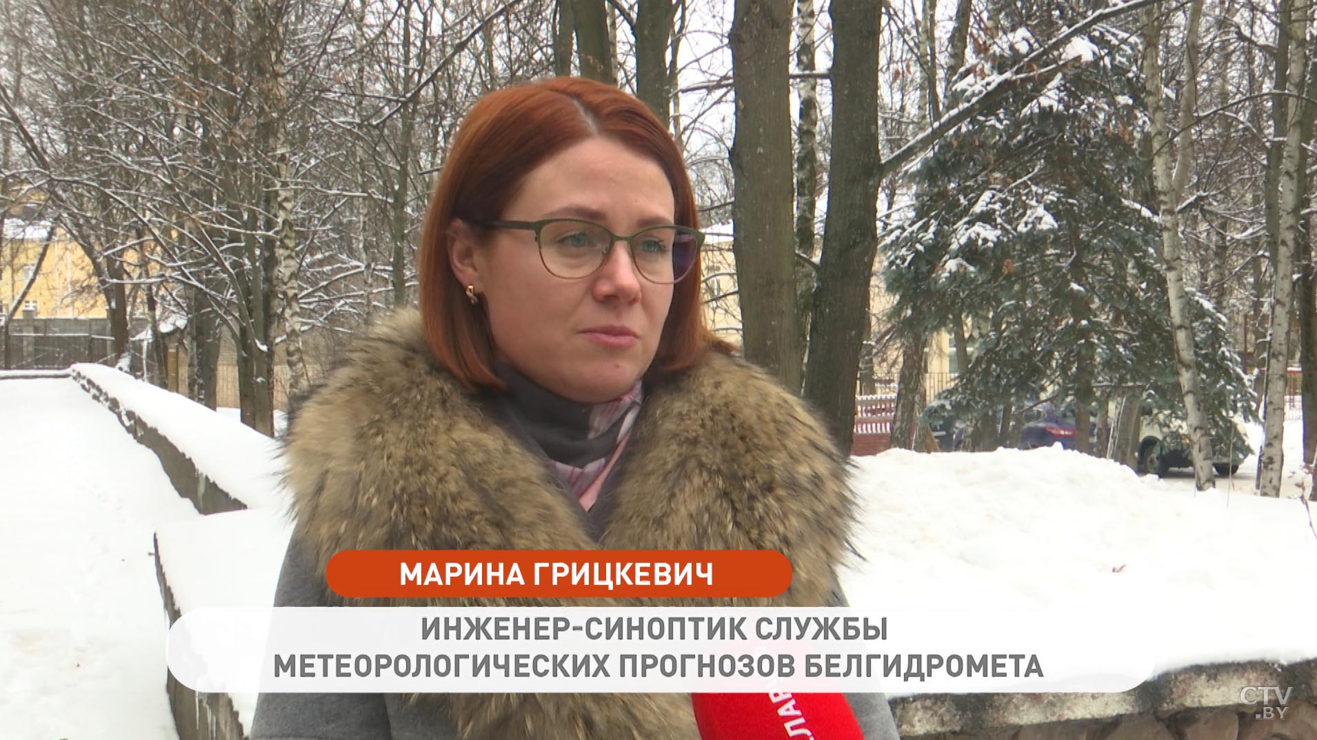 В основном снег, но на юге может пройти дождь. Синоптики рассказали о погоде в Беларуси на неделю-7