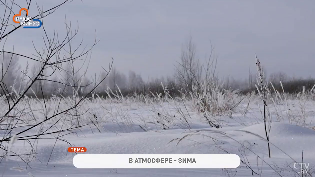 До -15 градусов, будет снежно. Синоптики рассказали о погоде на ближайшую неделю-4