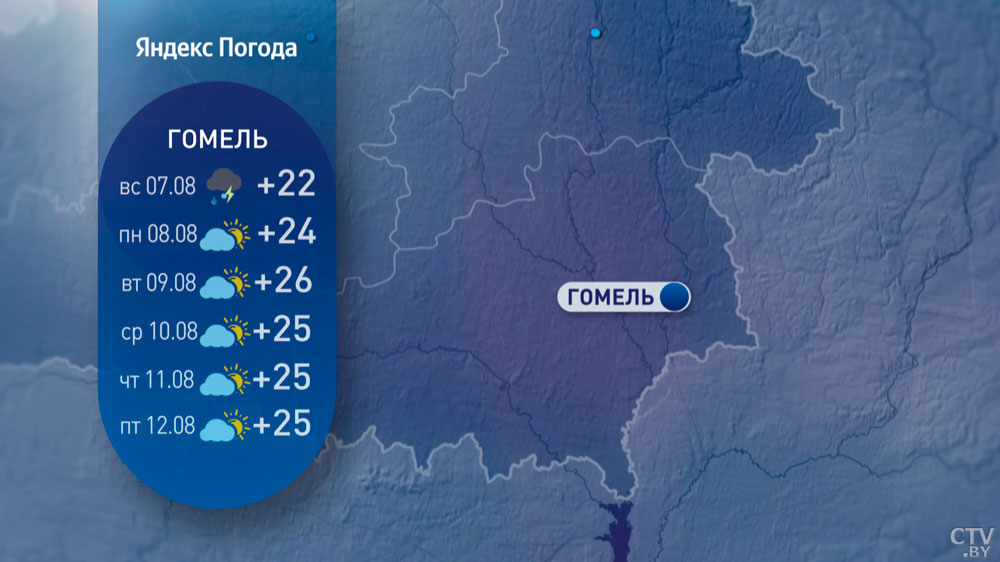 Погода в Беларуси на вторую неделю августа: жара пойдёт на спад, осадков не предвидится-14