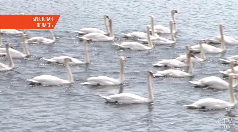 В Бресте на реке Мухавец стартовал первый водный поход на яхтах в честь Великой Победы -3