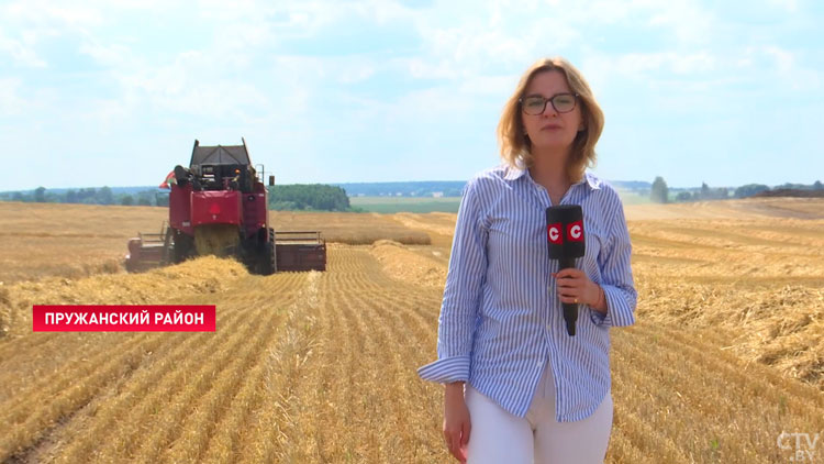Открыт сезон жатвы 2024 года! Как в Беларуси стартовала уборочная кампания?-7