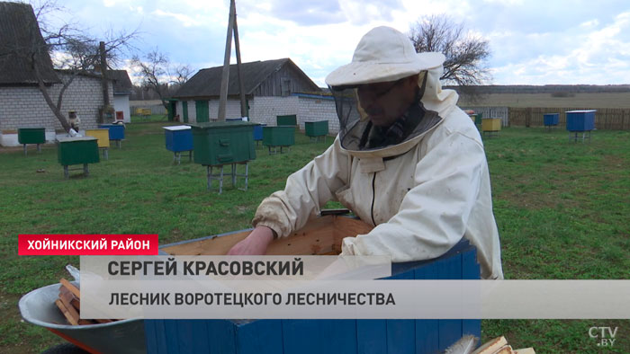 «С этой пасеки всё началось». В Полесском радиационном заповеднике уже собирают первый мёд-4 «С этой пасеки всё началось». В Полесском радиационном заповеднике уже собирают первый мёд-4