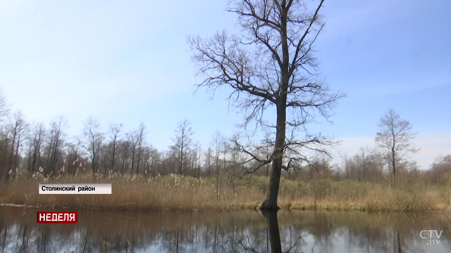 «Это невероятно, когда ты видишь собственными глазами». Показываем, зачем в белорусское Полесье приезжают туристы со всего мира-31