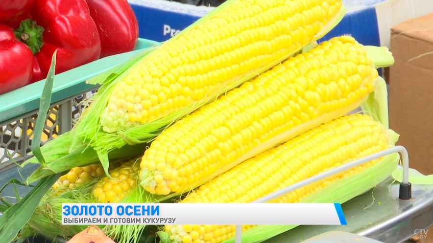 Полезны не только зёрна, но и отруби. Почему кукуруза поможет избавиться от артрита и воспалений?-10