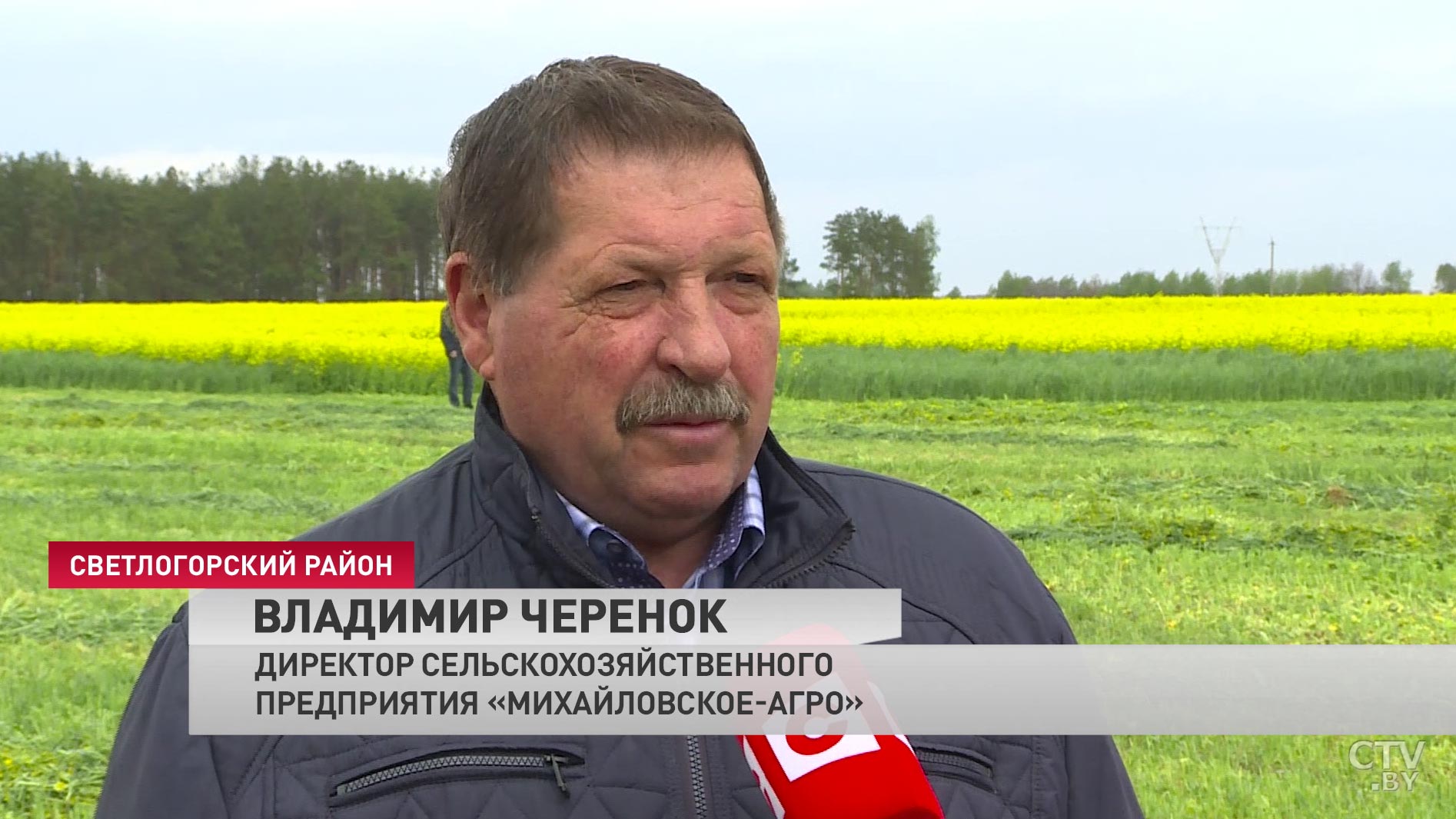 «Поедаемость сумасшедшая»: что такое полосной сев и чем выгодны «пёстрые» поля-22