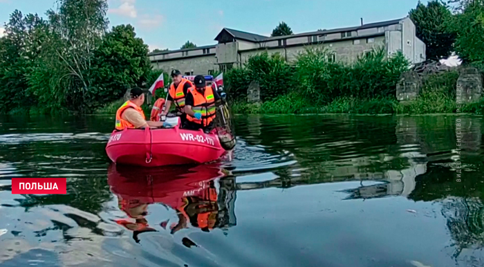 Экологическая катастрофа в Польше – вода в реке Одра заражена химикатами