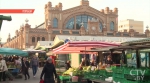 В Польше из-за дефицита куриные яйца подорожали на 25%