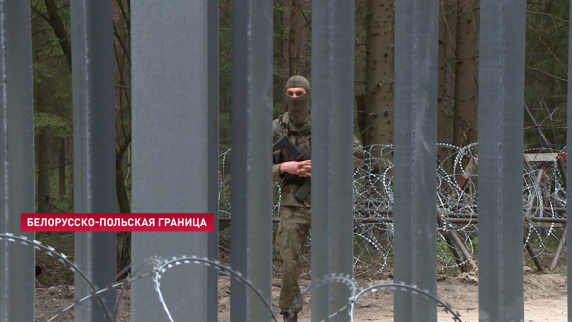 Мигранты находят слабые места. Польский забор на границе с Беларусью оказался ненадёжным