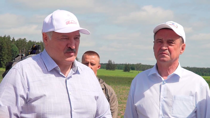 Опыты на полях Александрии. Как Лукашенко произвёл аграрную революцию