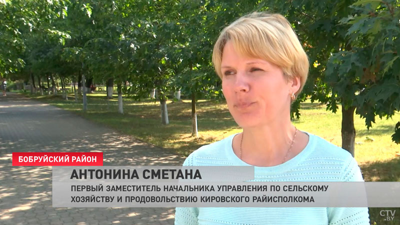 «Повысить питательность кормов». Аграрии Могилёвской области пошли на необычный эксперимент-4