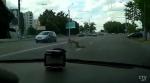 Необычный пешеход пытался перейти дорогу в Гомеле: видеофакт