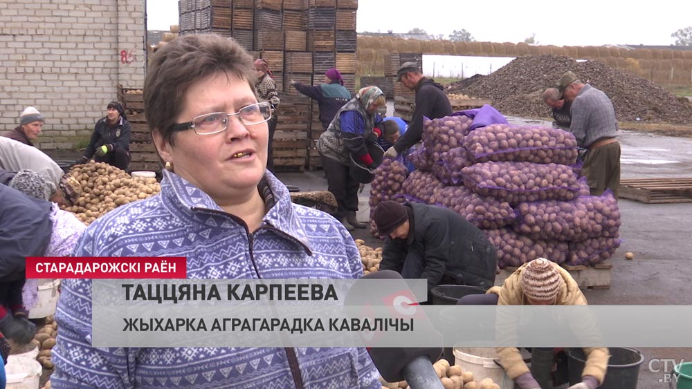 В Минской области на одного безработного приходится 15 вакансий. Какие профессии выбирают чаще?-13