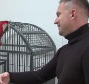 Посмотрите, как попугай ара танцует в такт музыке