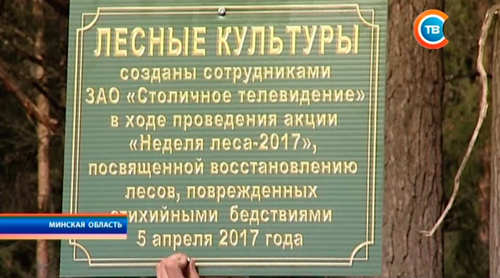 Акции должны быть бессрочными: в ходе республиканской «Недели леса» у телеканала СТВ появилась именная посадка-1