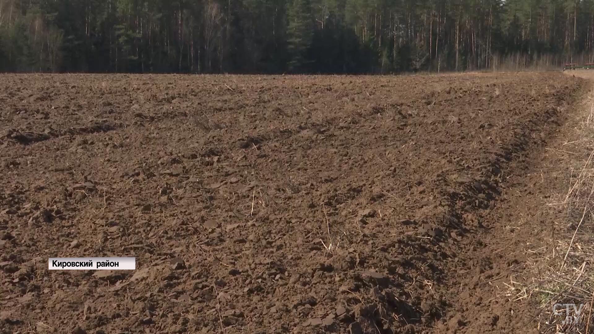 «Будет результат хороший, будет зерно, будет хлеб». Узнали, как проходит посевная в Могилёвской области-22