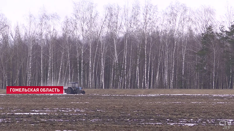 «Снег сошёл очень рано». Белорусские аграрии приступили к весенним полевым работам-1