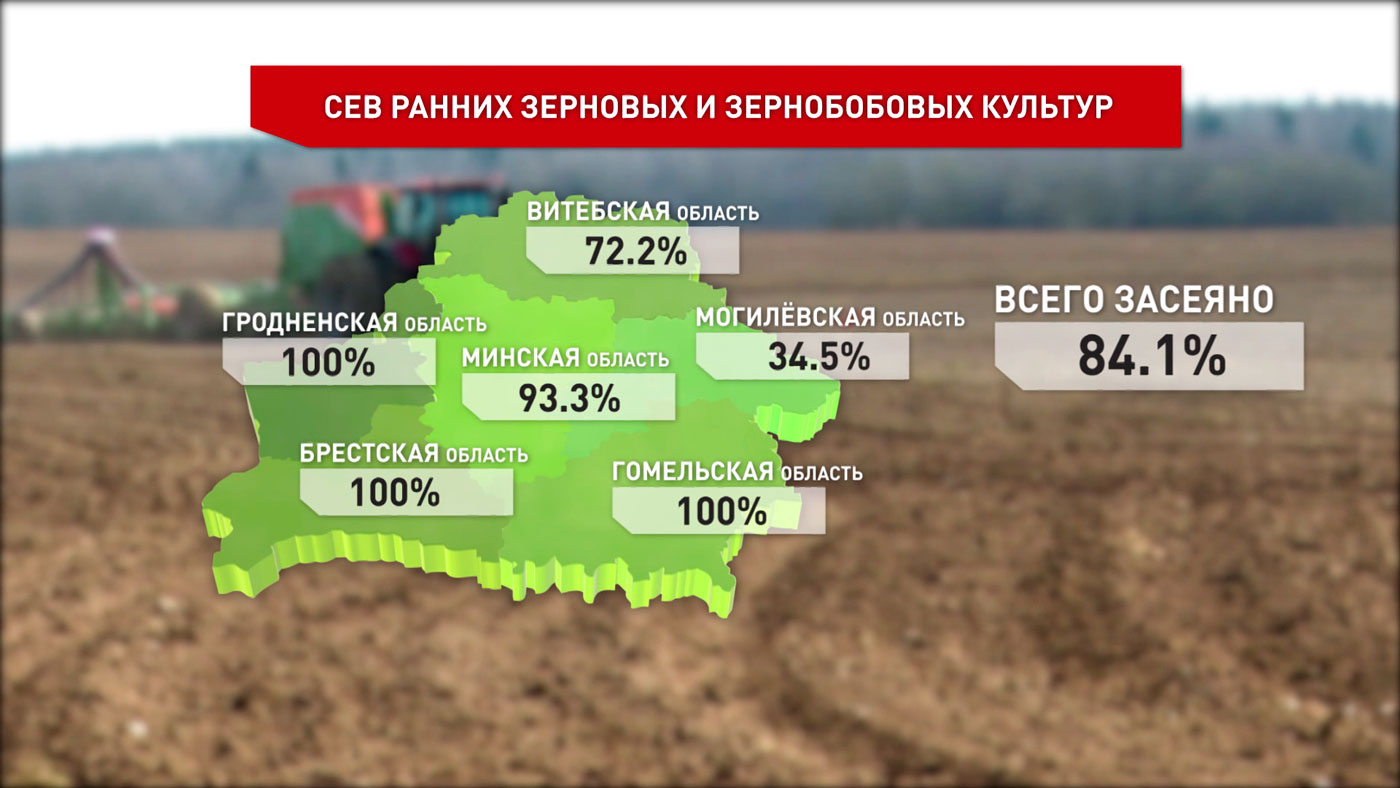Посевная кампания подходит к завершению. Ранние яровые посеяны на 84% площадей