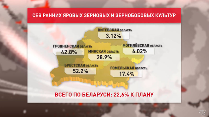 141 тыс. гектаров ранних яровых зерновых и зернобобовых посеяли в Беларуси-1