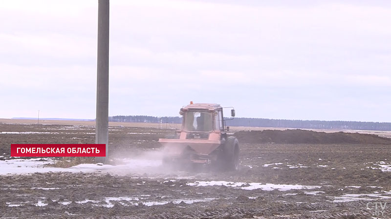 «Снег сошёл очень рано». Белорусские аграрии приступили к весенним полевым работам-3