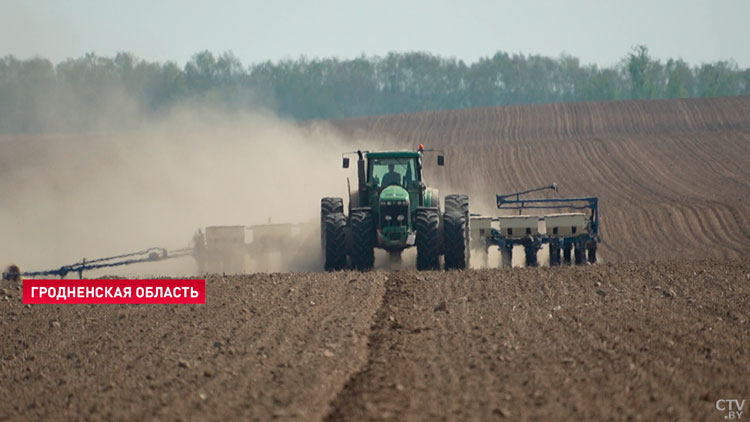 Яровые культуры в Беларуси посеяли на более чем 46% площадей-1