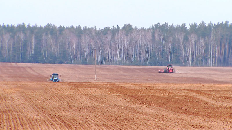 Аграрии Минской области приступили к севу многолетних трав