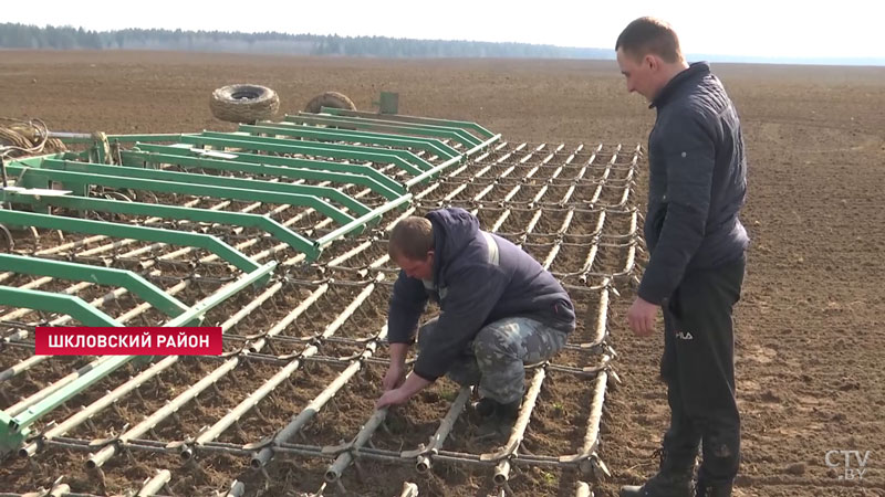 «Мы выезжаем в поле – пашем, сеем». Как студенты сельхозакадемии помогают аграриям в посевной-1