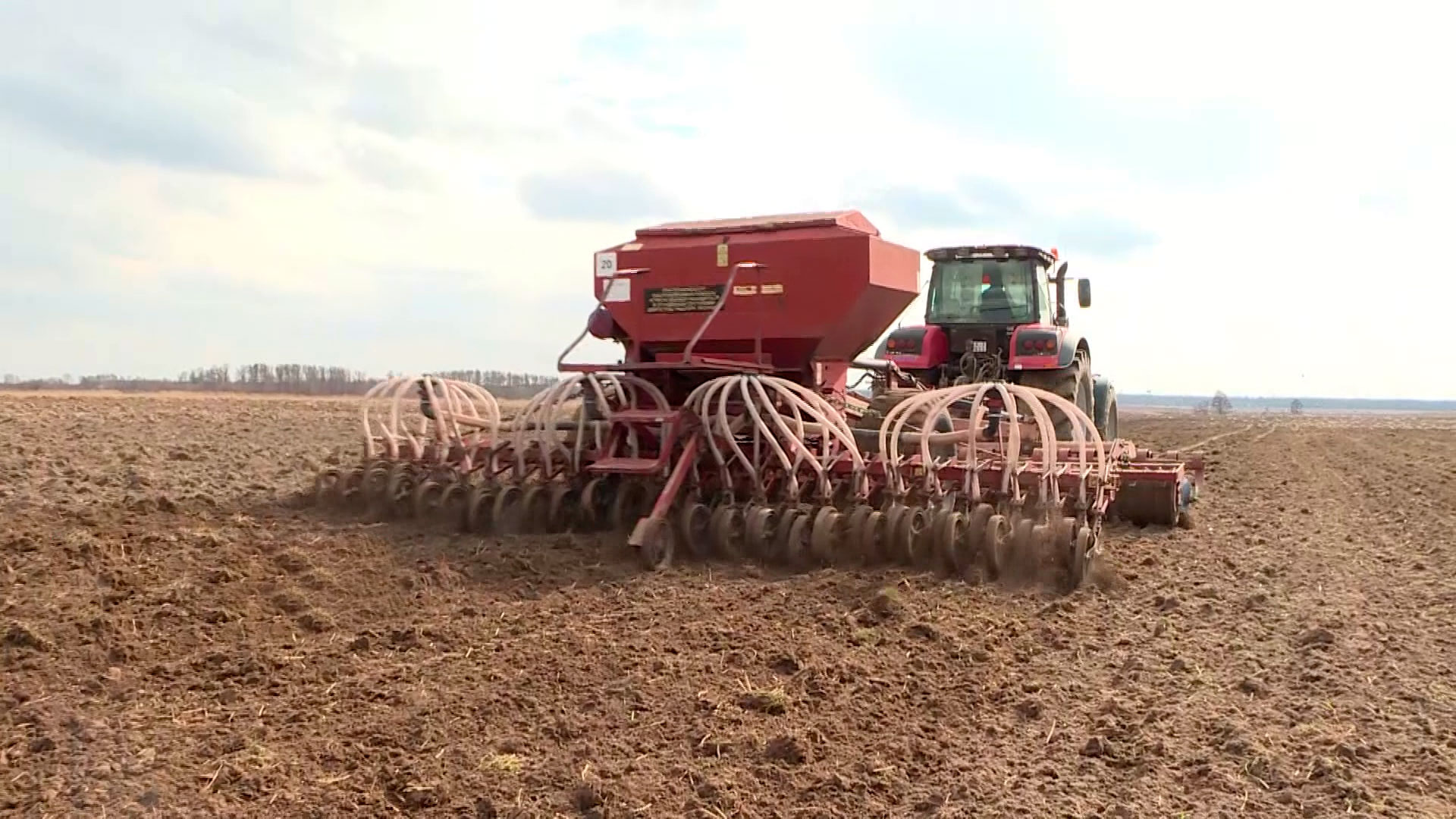 «Сей овёс в грязь – будешь князь». Аграрии Добрушского района рассказывают о сложностях посевной-2022