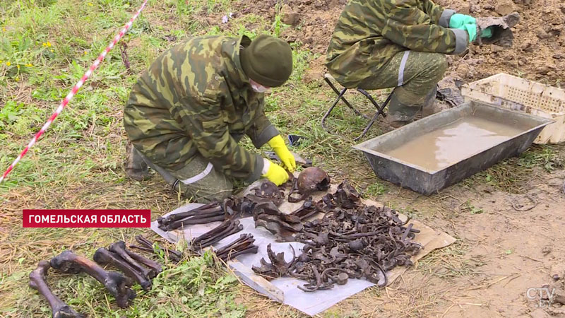 С подробной картой и свободным доступом. Белорусские поисковики планируют создать сайт о погибших фронтовиках-4