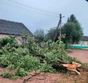 Повреждены машины и дома, отключалось электричество. Последствия сильной грозы устраняют в Беларуси