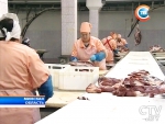 Последние ограничения на поставки белорусской продукции в Россию должны быть сняты 5 февраля