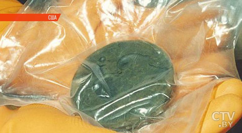 В университете Айдахо потеряли кусок оружейного плутония-4