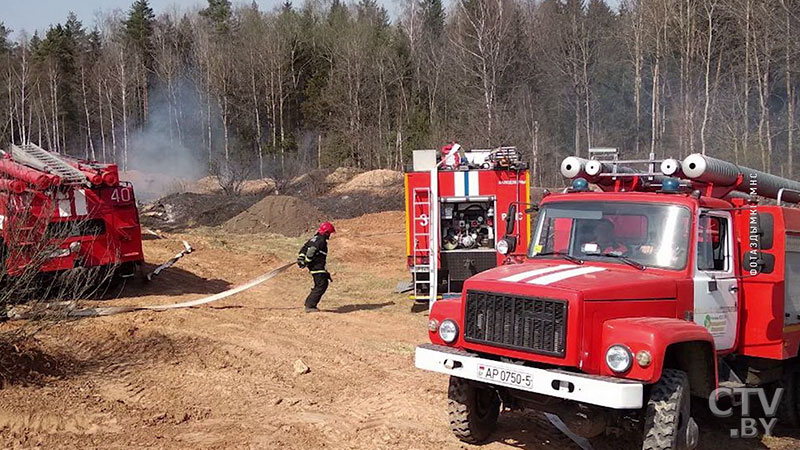 В Минском районе произошло возгорание леса-4