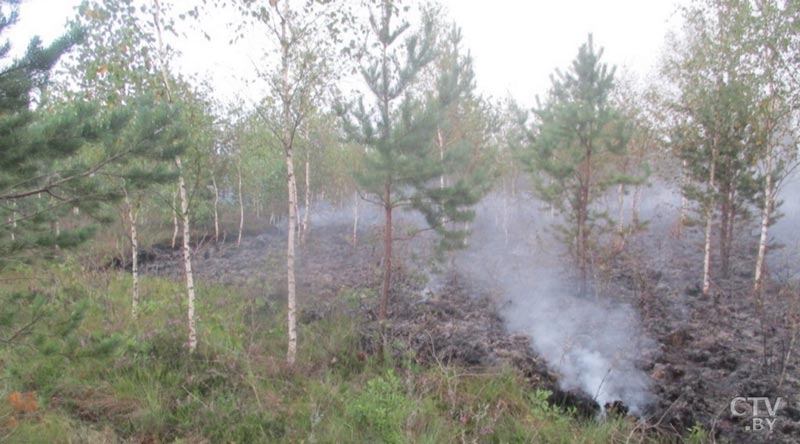 Число пострадавших от пожара в жилом доме в Нью-Йорке возросло вдвое-1