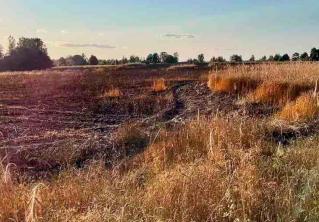 Возможно, это был поджог. В Минской области сгорел гектар зерновых