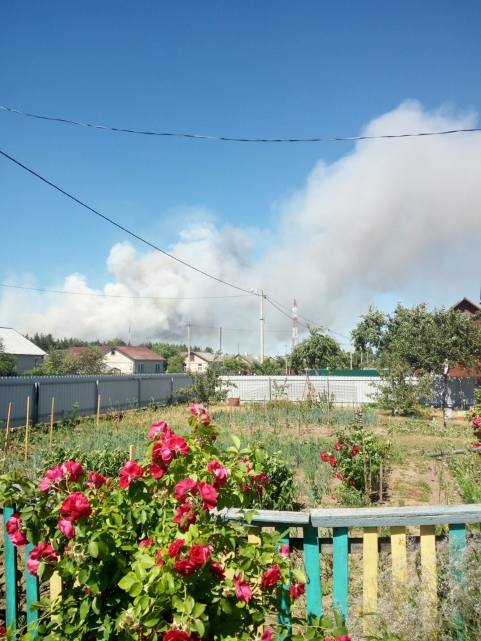 Военные и МЧС локализовали крупный пожар возле полигона под Барановичами-1