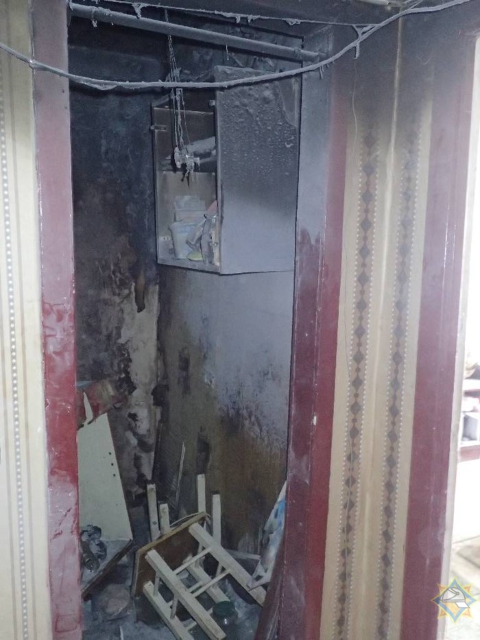 На пожаре в Бобруйске собака спасла юную хозяйку-4