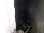 В подвале больницы Солигорска загорелся мусор: эвакуированы 299 человек 