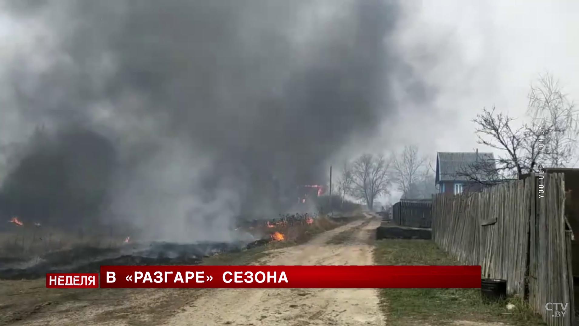 «Огонь распространяется со скоростью бегущего человека». К каким последствиям может привести пал травы-7