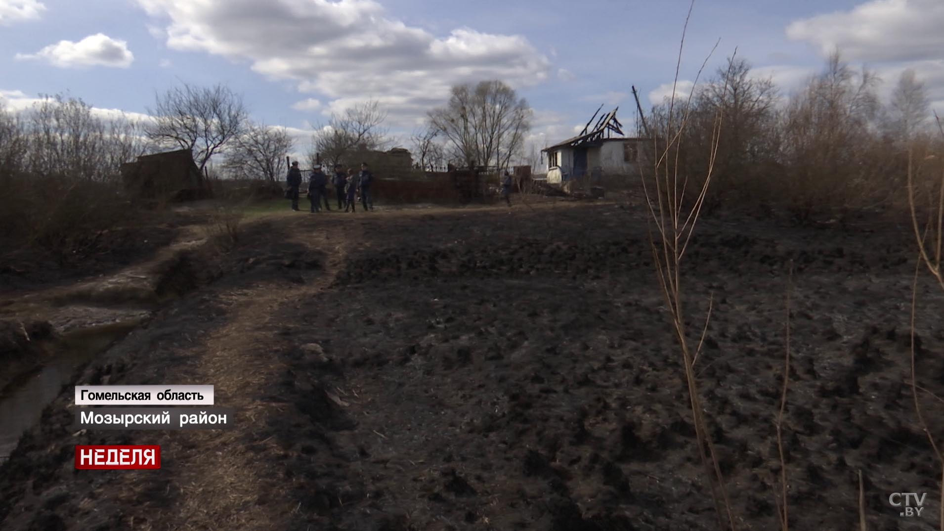 «Огонь распространяется со скоростью бегущего человека». К каким последствиям может привести пал травы-19