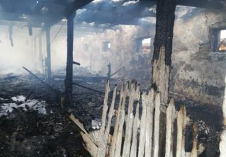 В Столинском районе горел телятник с 84 животными. 48 телят были спасены