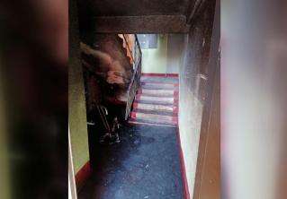 Семейная пара погибла на пожаре в Слуцком районе. В деревянном доме обрушилась крыша