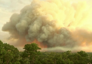 Режим ЧС и +40°C. В Австралии бушуют лесные пожары