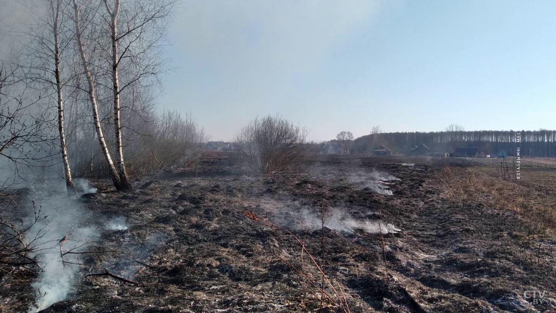 Сжигал мусор на приусадебном участке. В Минской области пенсионер погиб при пожаре-7