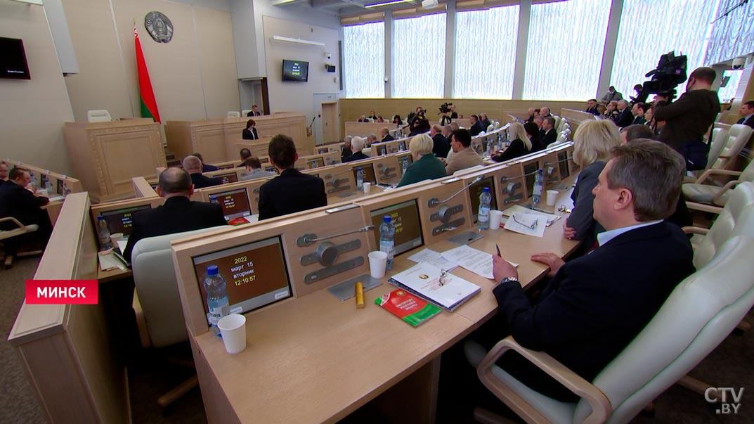 Любецкая: в Конституции уже содержатся задачи, которые должен решать закон о ВНС-4