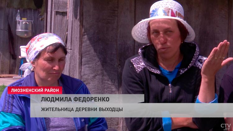 «Он нападать не будет». Правда ли безопасно просто наблюдать за белоголовым сипом?-4