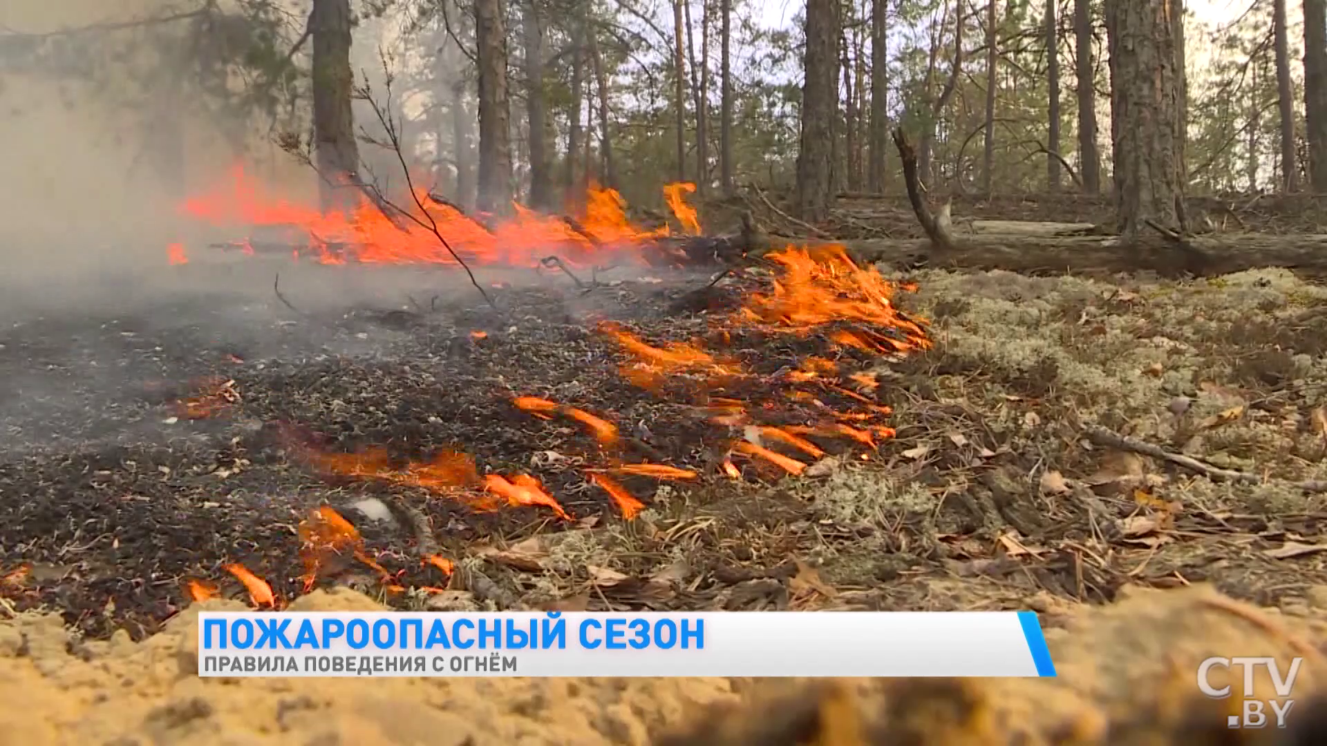 Собираетесь поехать на дачу? Эти правила пожарной безопасности следует соблюдать, чтобы избежать беды -4