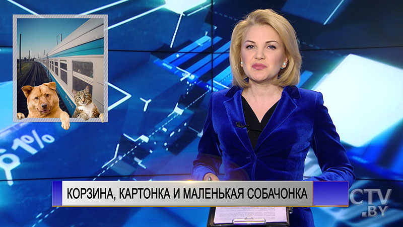 Новые правила в поездах Беларуси: животных можно везти бесплатно, а ездить стоя станет дешевле-1