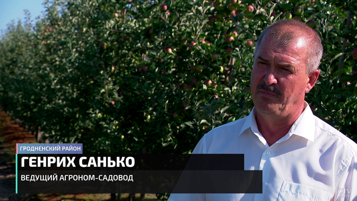 «Углеводороды и рядом не стояли». Лукашенко подсчитал рентабельность белорусских садов и полей-19