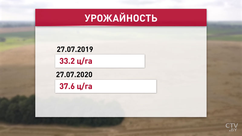 «Выборы выборами, а кушать все хотят». Александр Лукашенко ознакомился с ходом уборочной в Несвижском районе-22