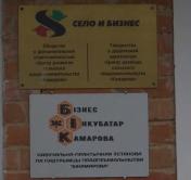 «У людей надо развивать добрую зависть, чтобы они хотели быть успешными». Как открыть своё дело на селе
